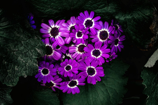 1386899 (a): :2560x1706